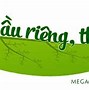 Tình Hình Sản Xuất Cây Sầu Riêng Hiện Nay