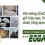 Vôi Sống Là Cái Gì